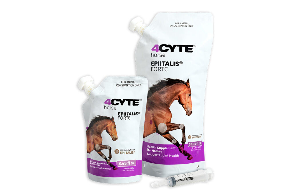 4CYTE Horse Gel 