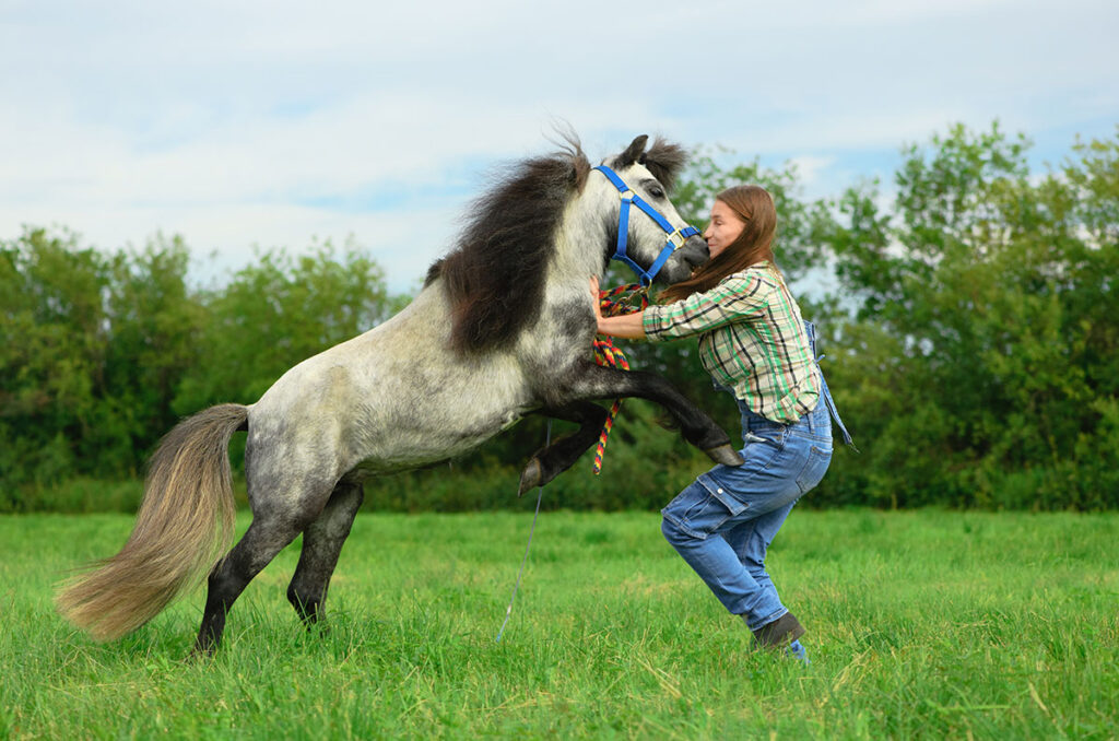 aggressive pony behavior