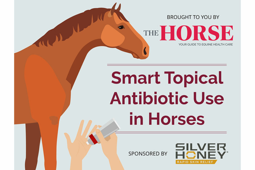 Smart Topical Antibiotic Use in Horses