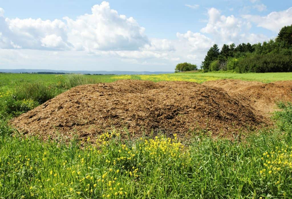 9 Steps for Composting Horse Manure
