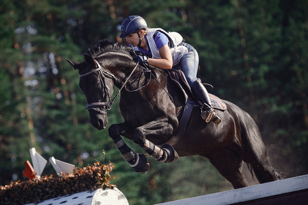 cross country jump, eventing