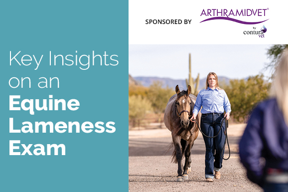 Key Insights on an Equine Lameness Exam