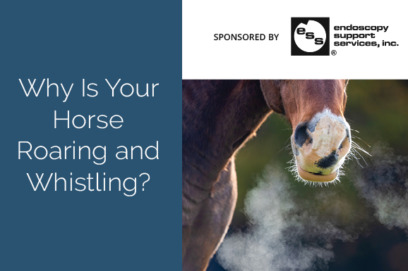 Why is Your Horse Roaring and Whistling?