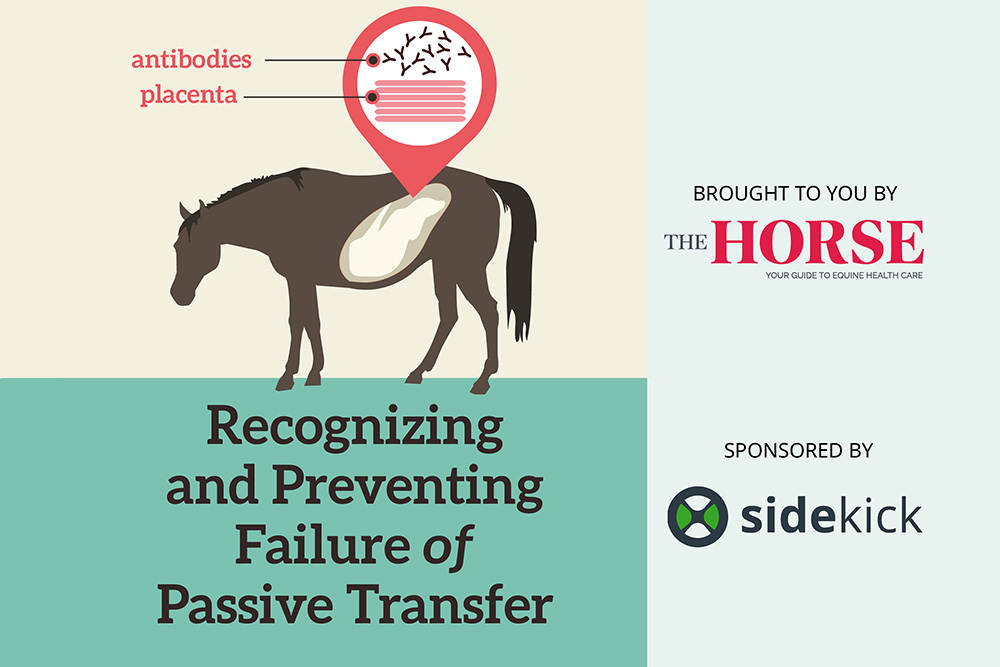 Recognizing and Treating Failure of Passive Transfer