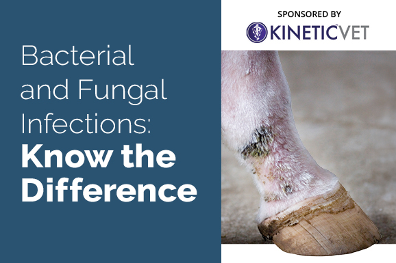 Bacterial and Fungal Skin Infections