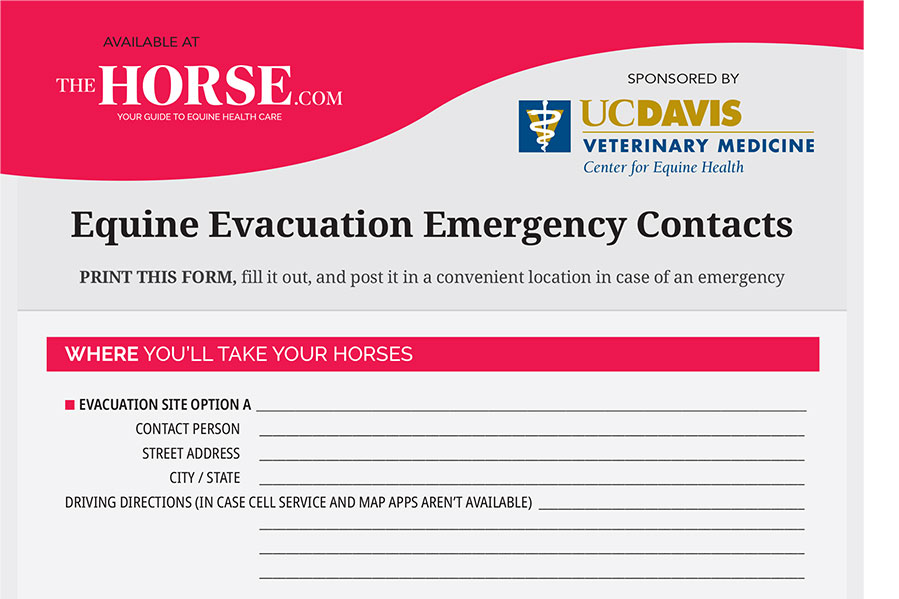 Equine Evacuation Emergency Contact form