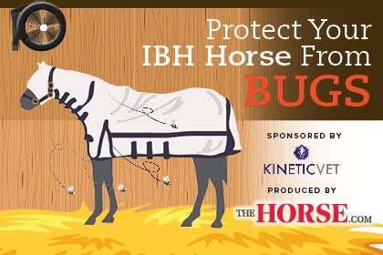 Protect Your IBH Horse From Bugs