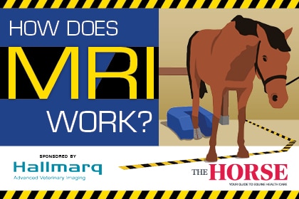 How Does MRI Work?